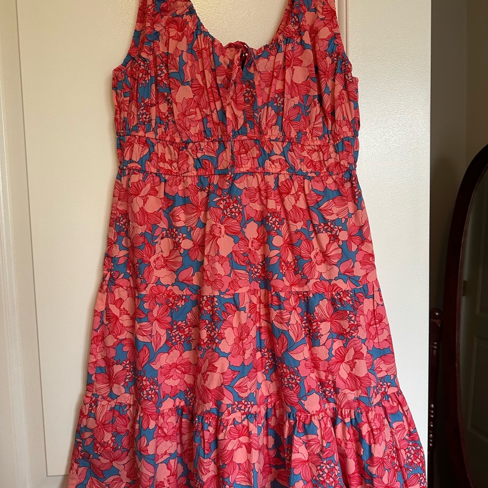 NBW w/ tags Floral Pink and Blue Sleeveless Dress